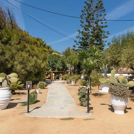Sunrock - Margarita Stelida (Naxos)