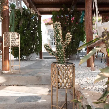 Sunrock - Margarita 4*